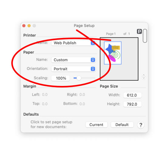 EazyDraw Page Setup Paper